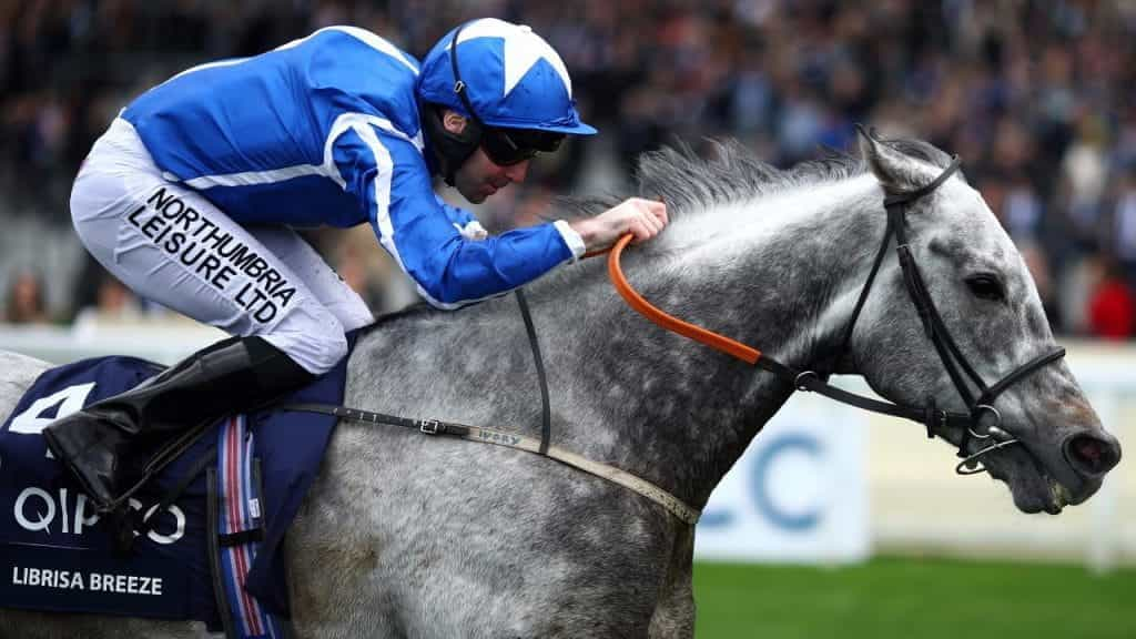 Close-up of jockey Robert Winston riding Librisa Breeze.