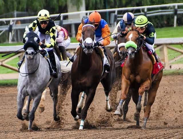 Horses racing on a dirt track.