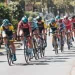 The peloton of a cycling race.