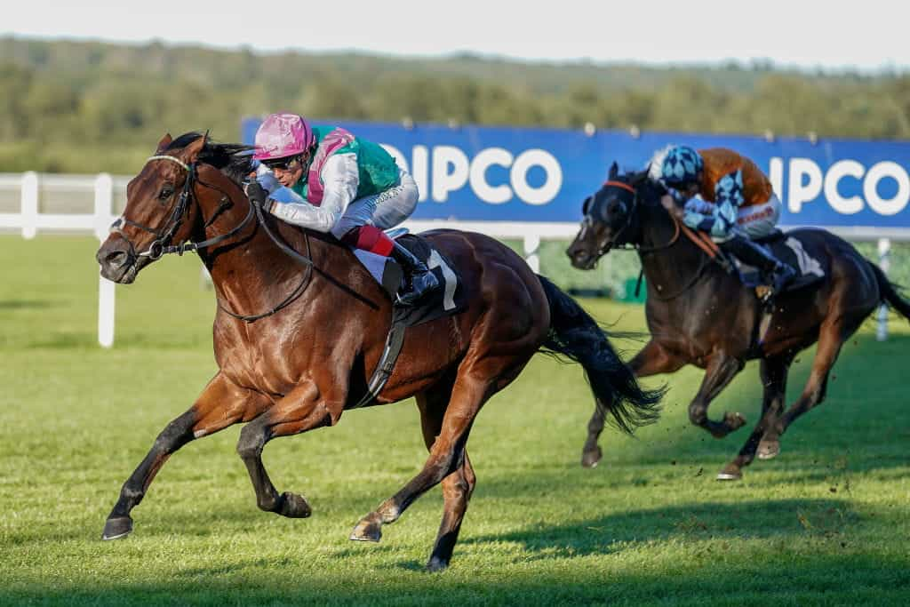 Frankie Dettori riding Sunray Major to victory at Ascot.