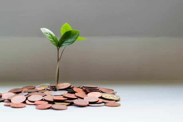 A small green plant sprouting out of a pile of coins.